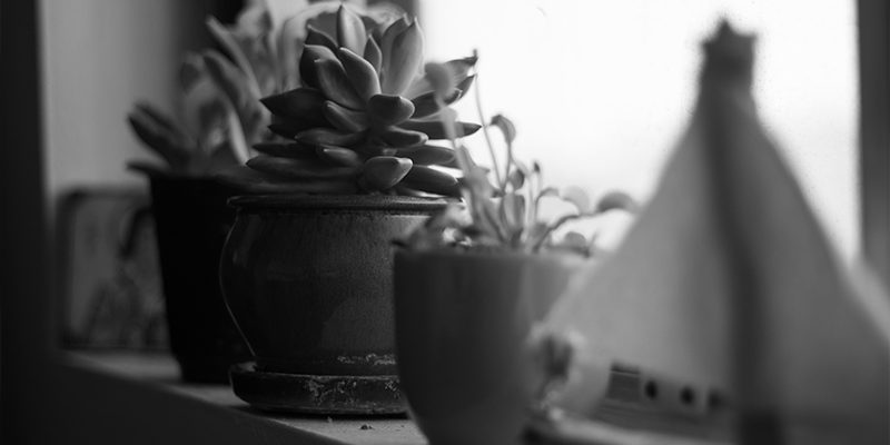 july_peacfule_hobbies